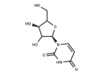 Uridine