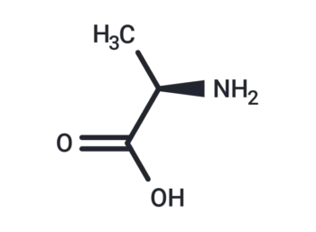 D-Alanine