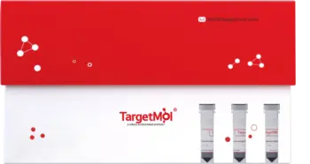 His Tag Immunomagnetic Beads