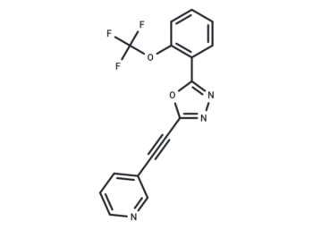 YPC-22026
