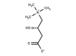 L-Carnitine