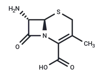 7-Aminodeacetoxycephalosporanic acid