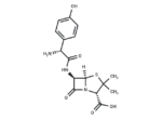 Amoxicillin