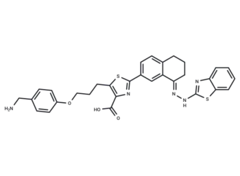 WEHI-539