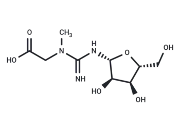 Creatine riboside