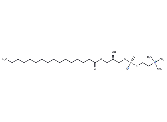 1-Palmitoyl-sn-glycero-3-phosphocholine CgoaEWayH 6EJuYvAAAAAMXsG9Q051- Immunomart