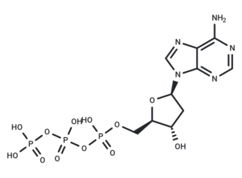 2'-Deoxyadenosine-5'-triphosphate