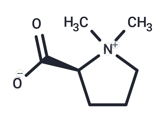 Stachydrine
