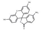 6-Aminofluorescein