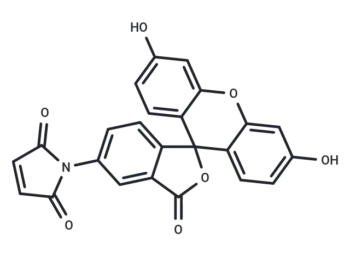 Fluorescein-5-maleimide