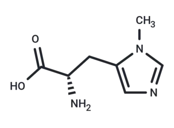 3-Methyl-L-histidine