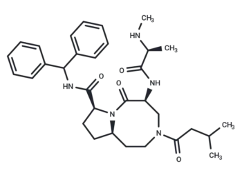 Xevinapant