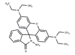 Rhodamine B hydrazide