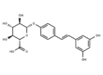 Resveratrol-4′-O-D-Glucuronide
