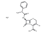 Cefaclor monohydrate