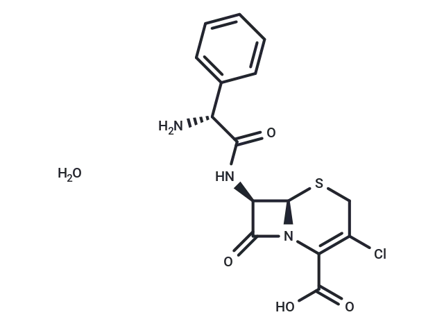 Cefaclor monohydrate