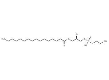 1-Palmitoyl-2-hydroxy-sn-glycero-3-PE