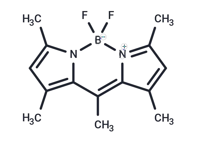 BODIPY 493/503 CgoaEWayIAOEehMdAAAAANwsOIw736- Immunomart
