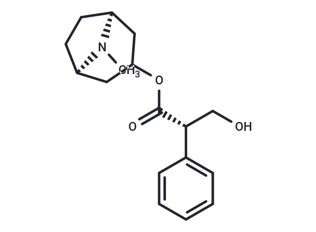 L-Hyoscyamine