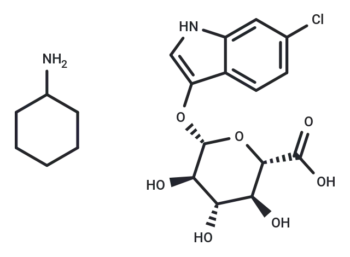6-Chloro-3-indolyl-β-D-Glucuronide CHA