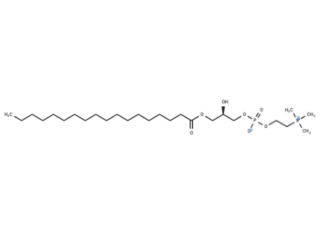 1-Stearoyl-sn-glycero-3-phosphocholine