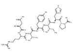 Angiotensin (1-7)