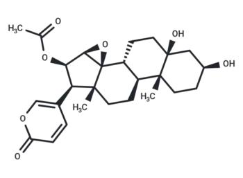 Cinobufotalin