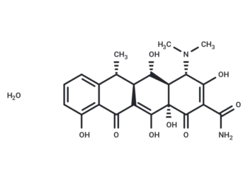 Doxycycline monohydrate