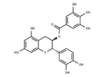 (-)-Catechin gallate
