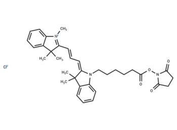 Cy3 NHS ester