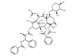 7-Xylosyltaxol