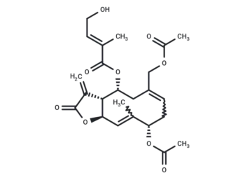 Eupalinolide B