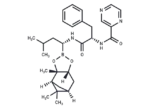 Bortezomib-pinanediol