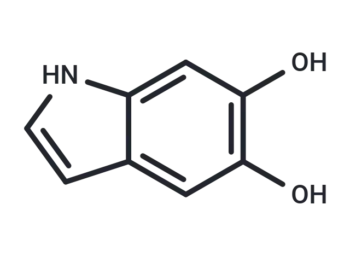 5,6-Dihydroxyindole