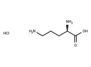 D-Ornithine hydrochloride