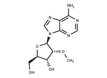 2'-O-Methyladenosine