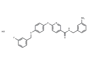 YM 244769 hydrochloride