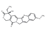 10-Methoxycamptothecin