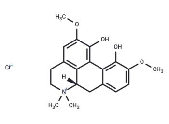 (+)-Magnoflorine chloride