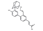 POLA1 inhibitor 1