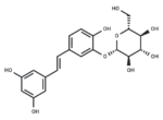 Piceatannol 3′-O-glucoside