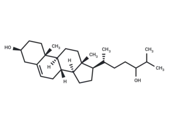 24-Hydroxycholesterol