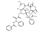 Paclitaxel