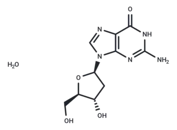 2'-Deoxyguanosine monohydrate