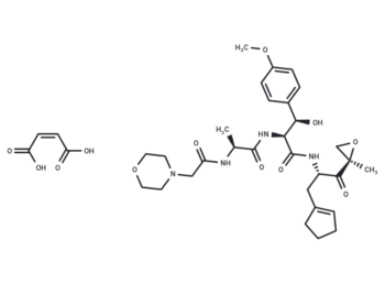 Zetomipzomib maleate
