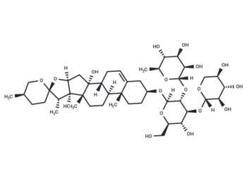 Cixiophiopogon A