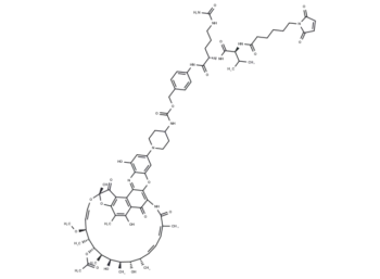 MC-VC-PABC-DNA31