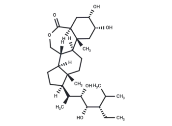 (22S,23S)-Homobrassinolide