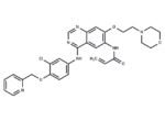 Tuxobertinib
