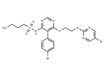 Macitentan (n-butyl analogue)